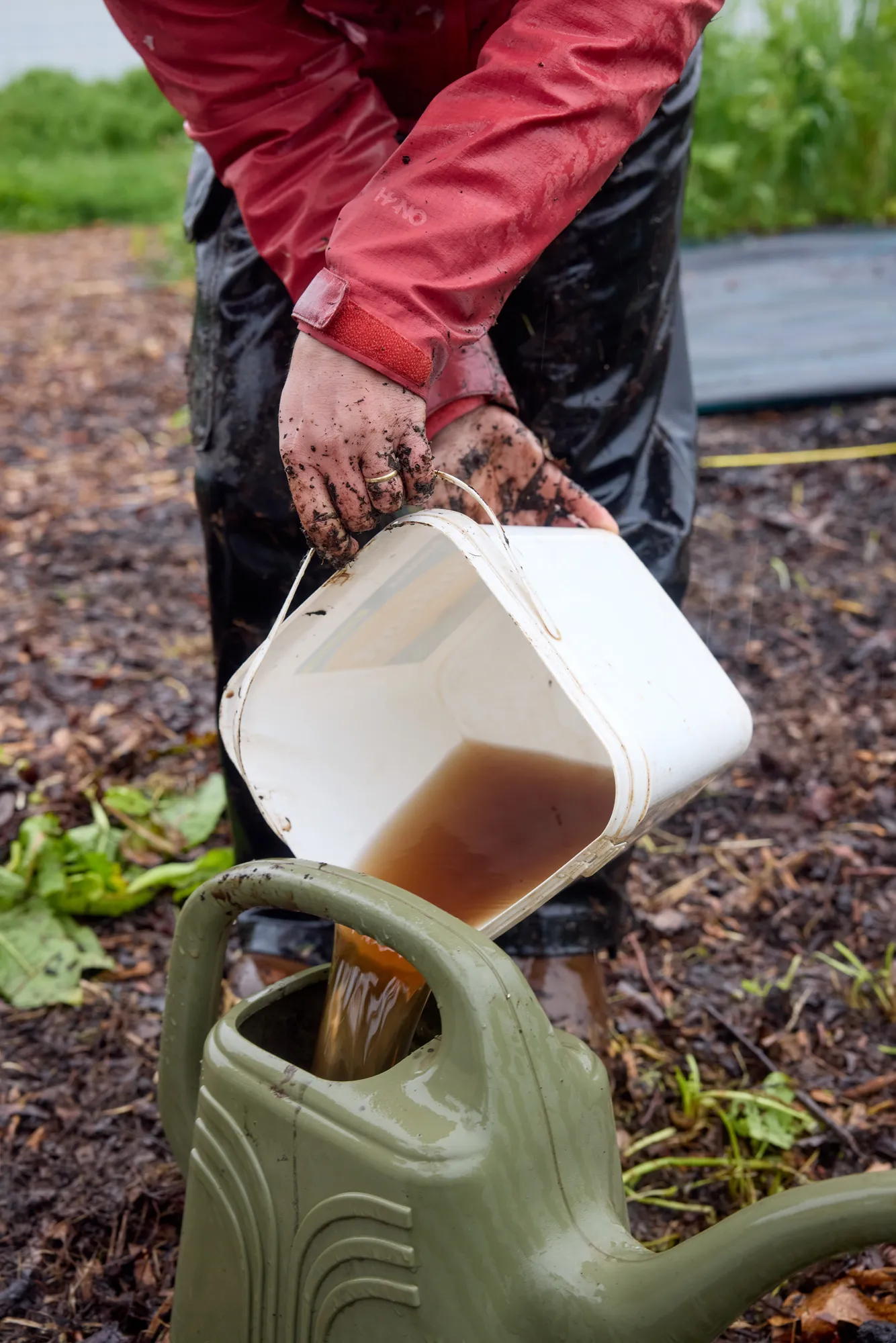 Compost tea