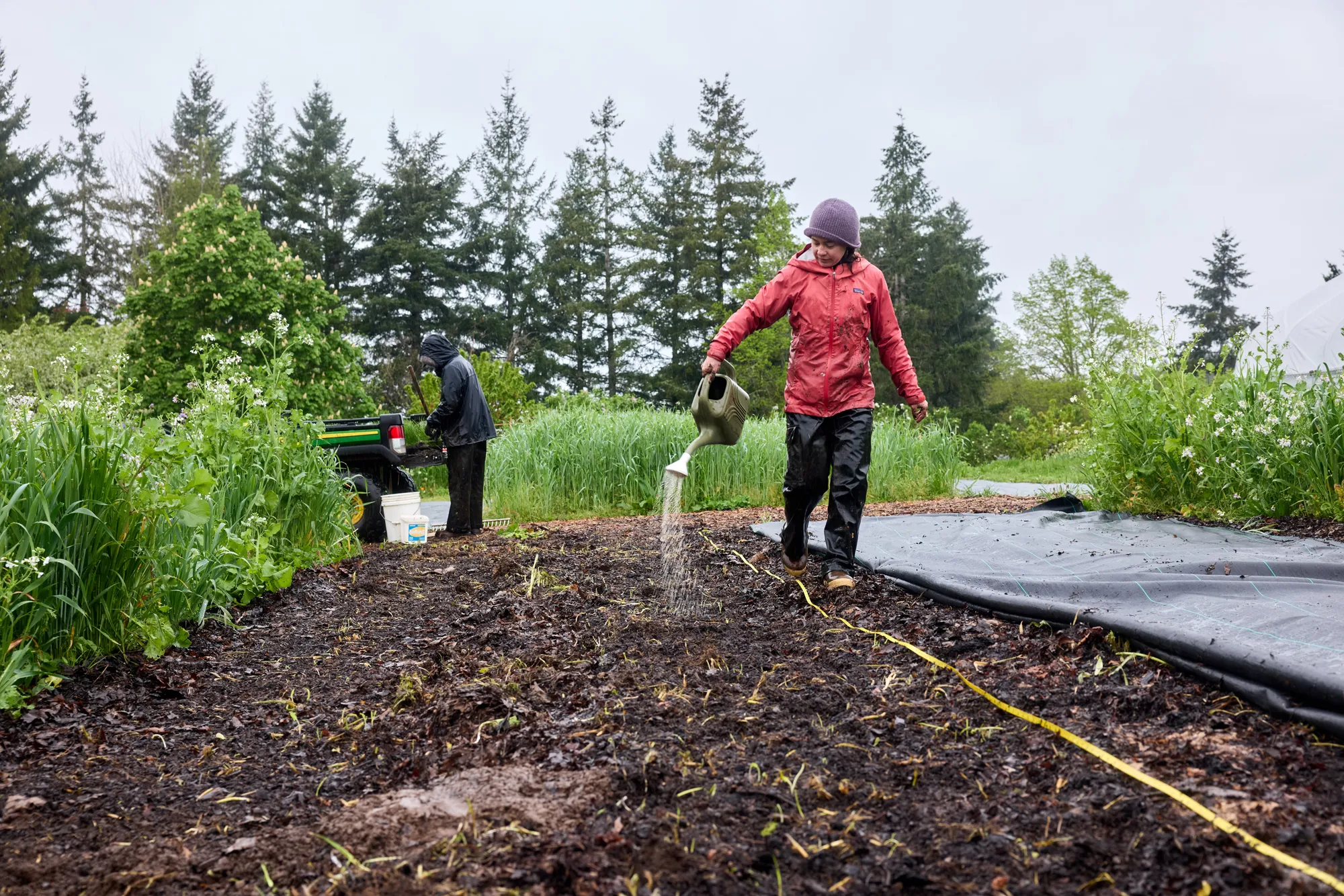 Fertilizing with Compost Tea