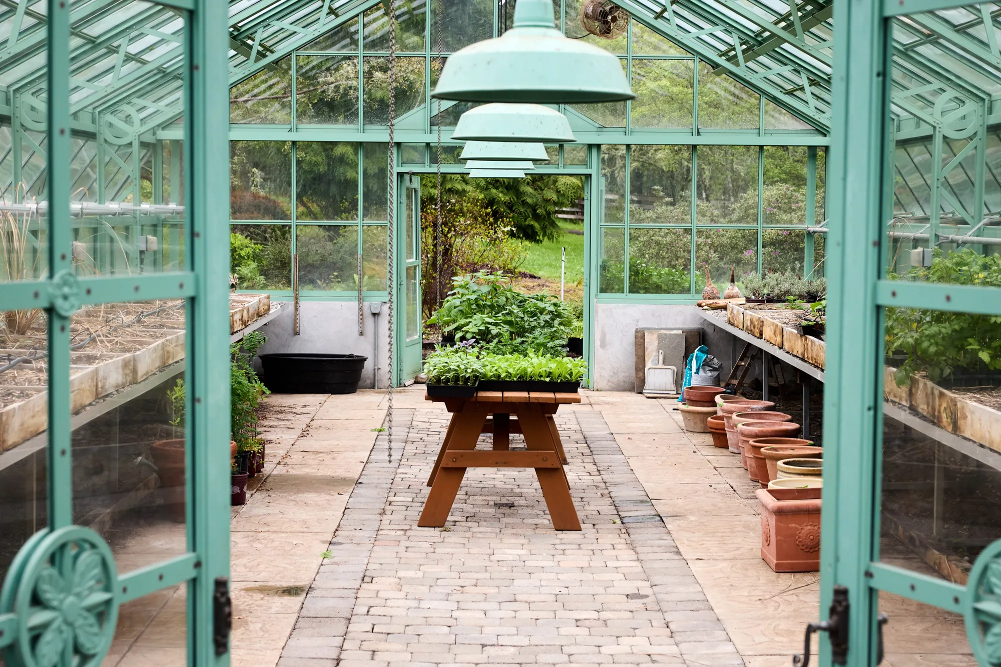 The Greenhouse