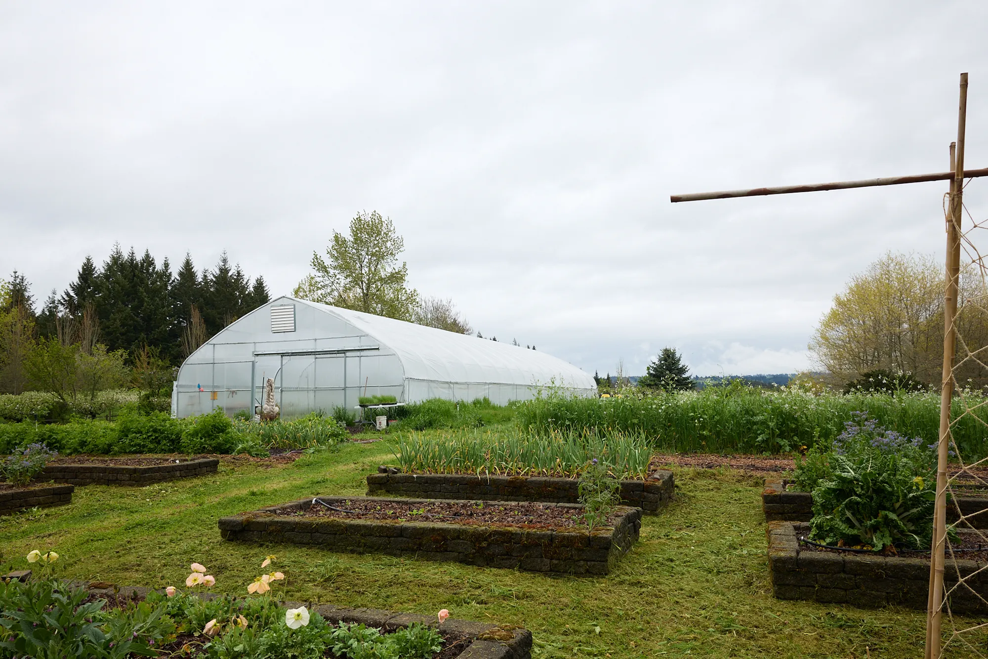 The market garden