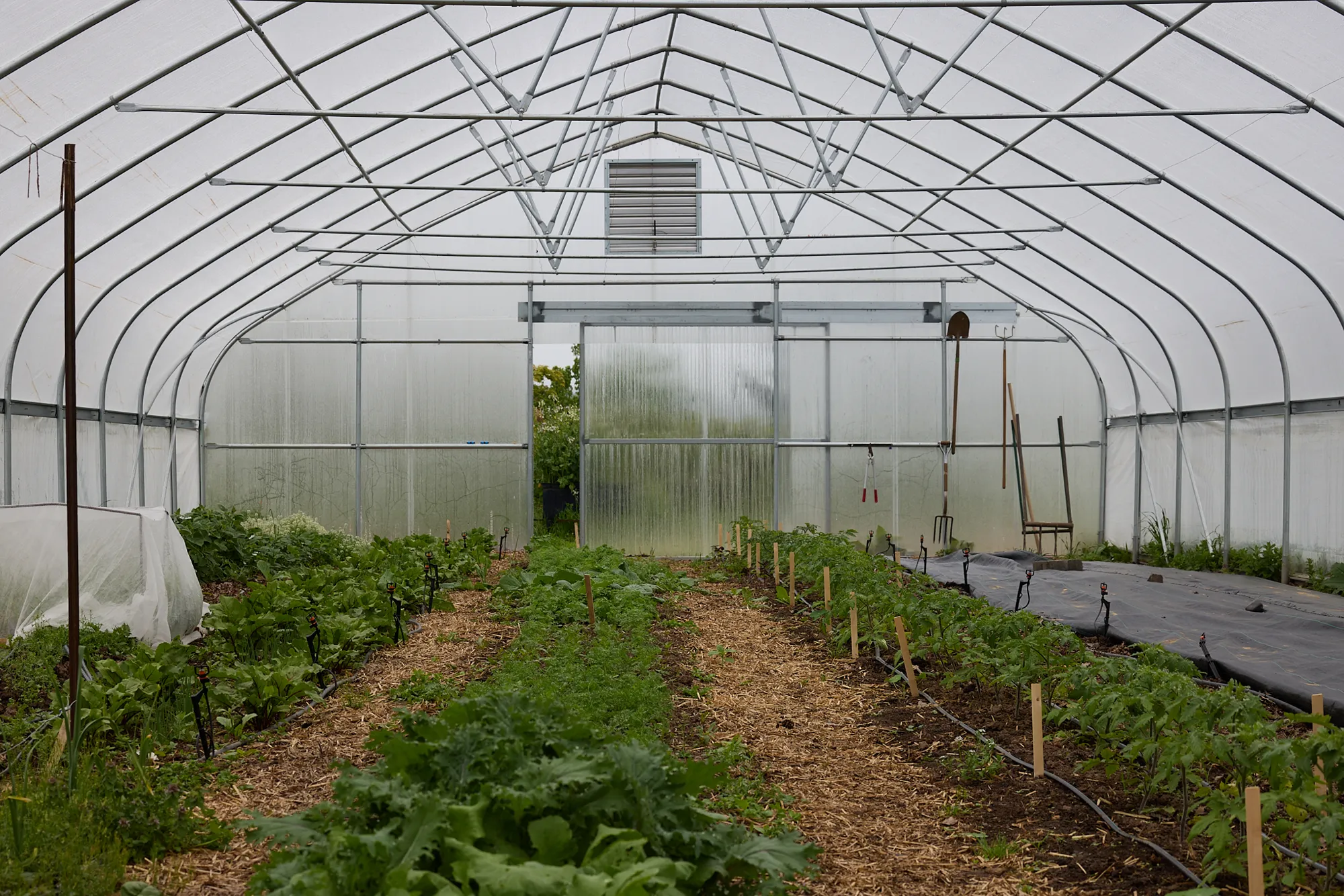 The hoop house