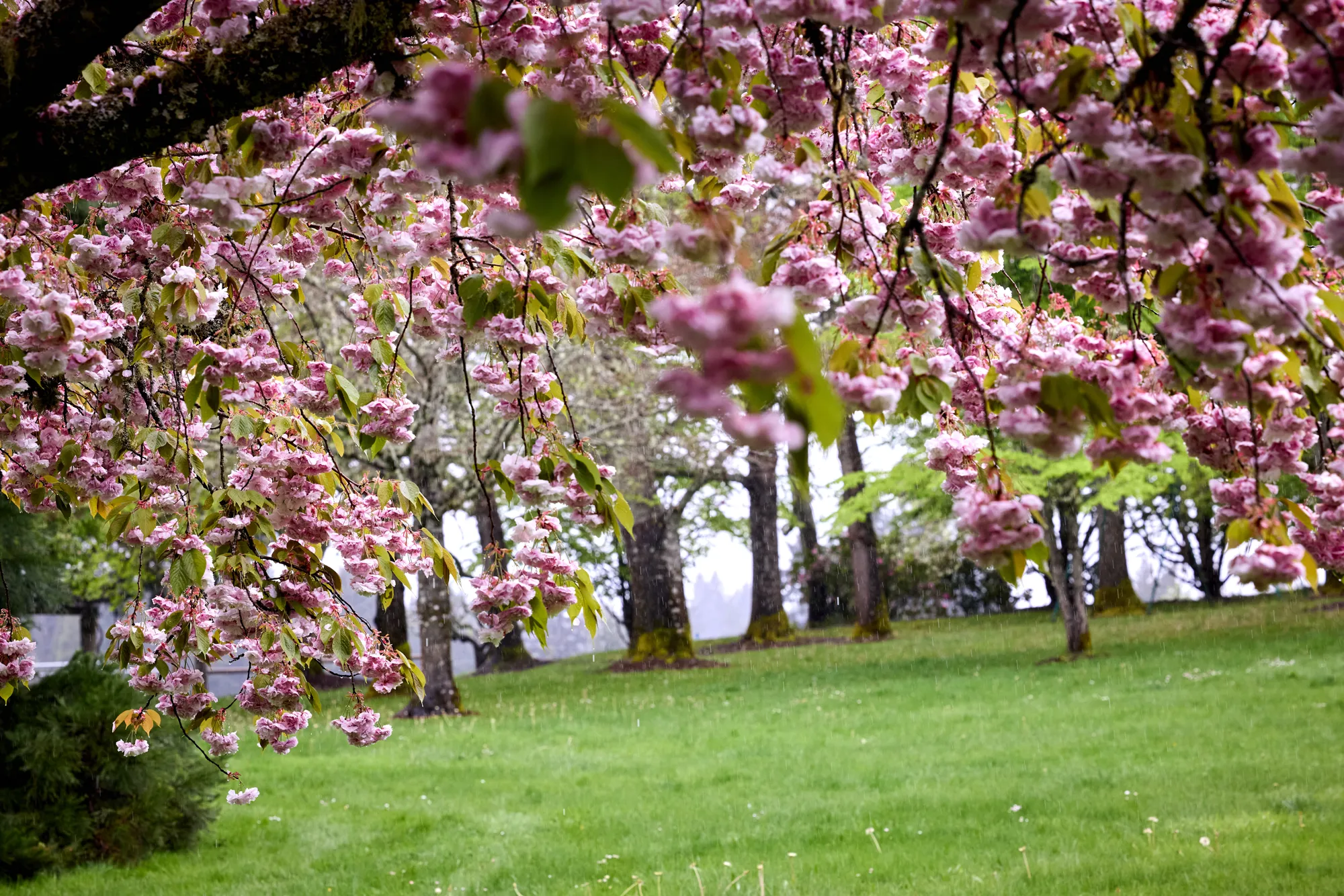 Spring on the farm