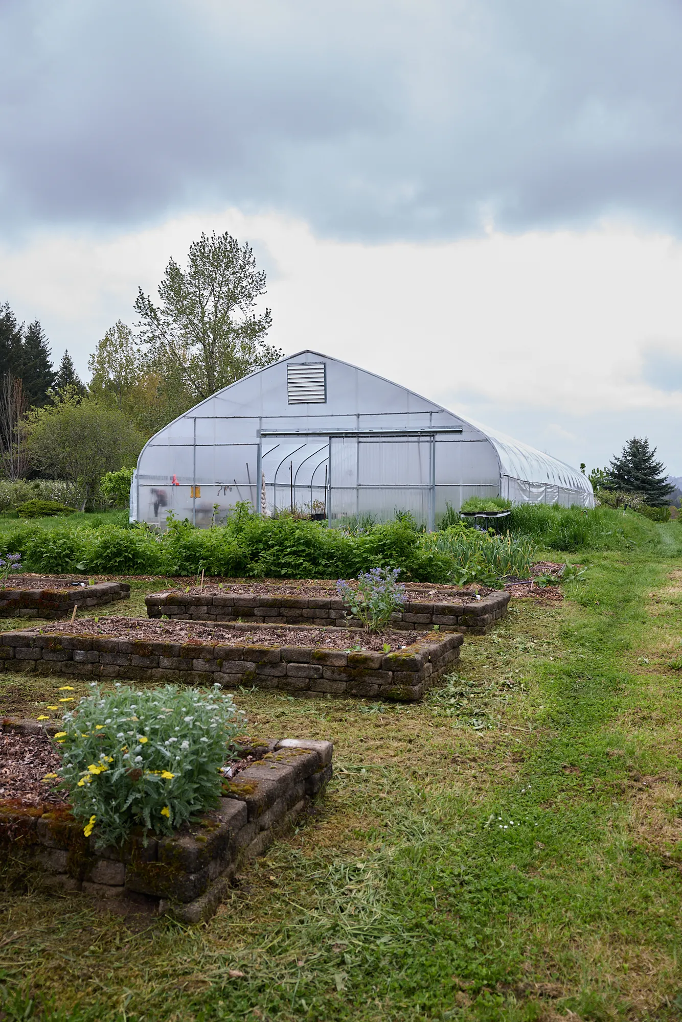 The market garden hoophouse