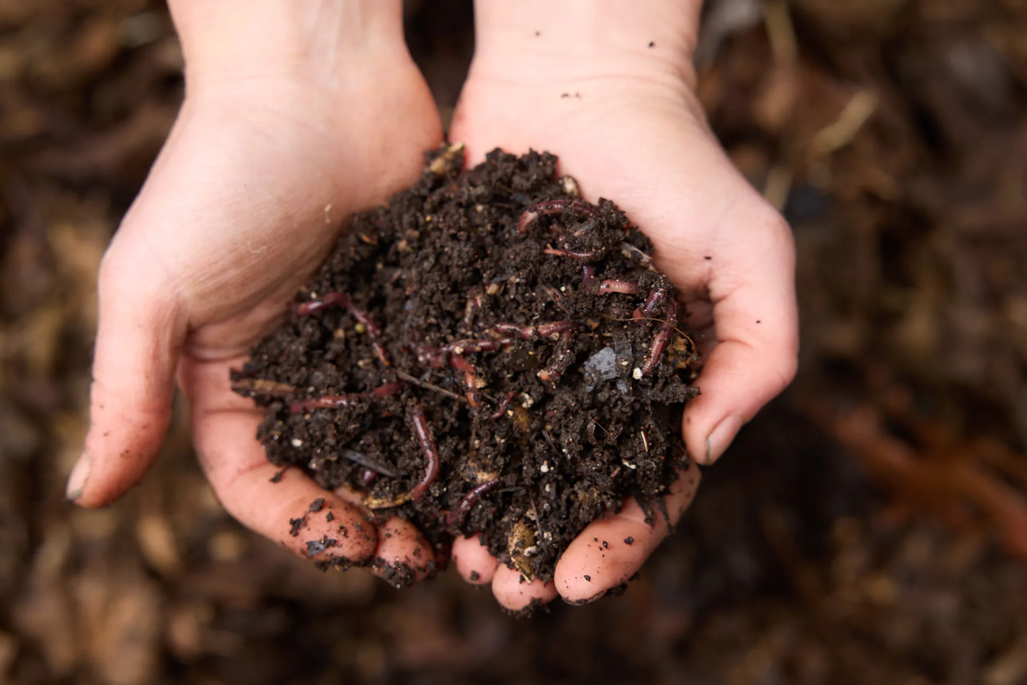 Soil