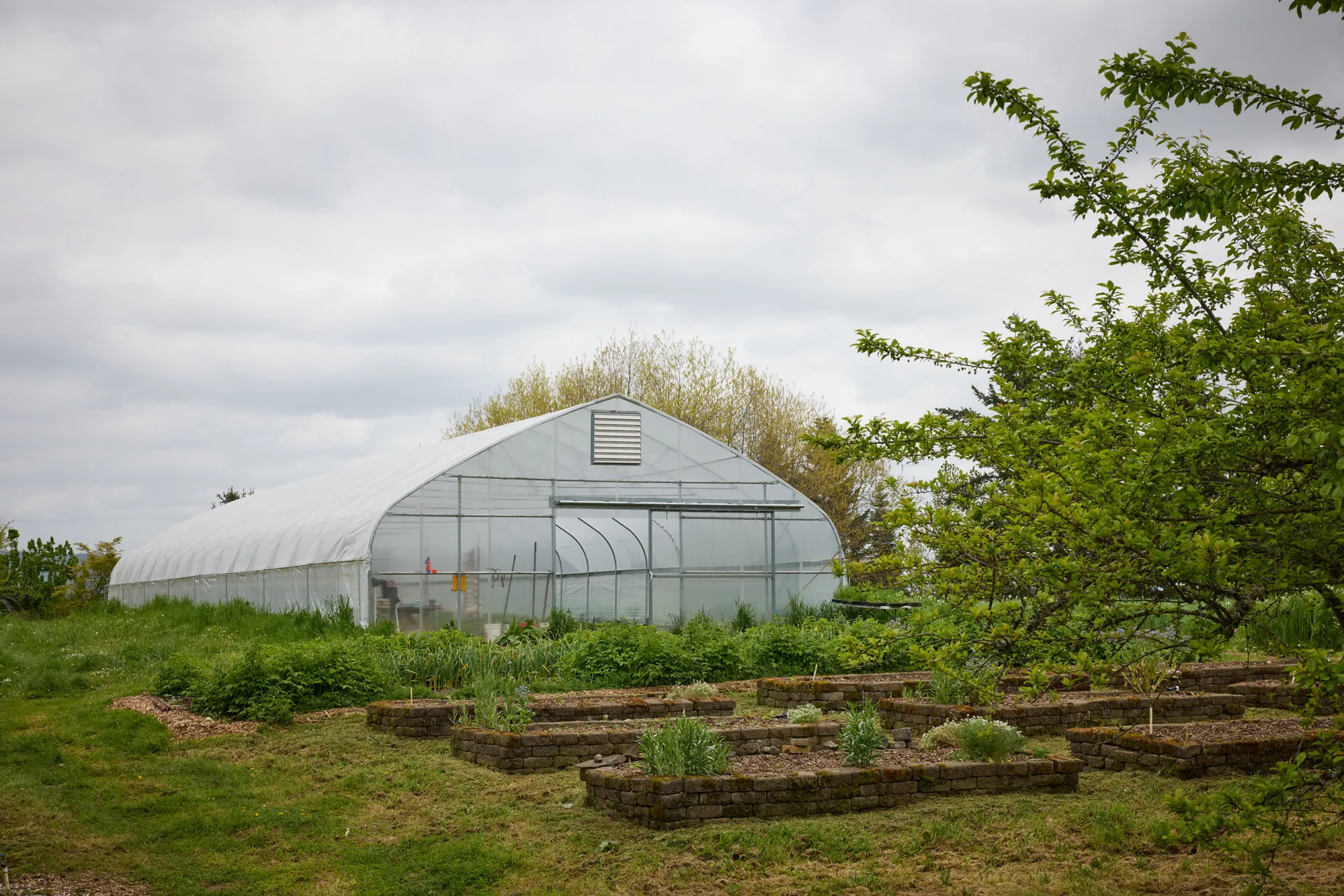 Market garden