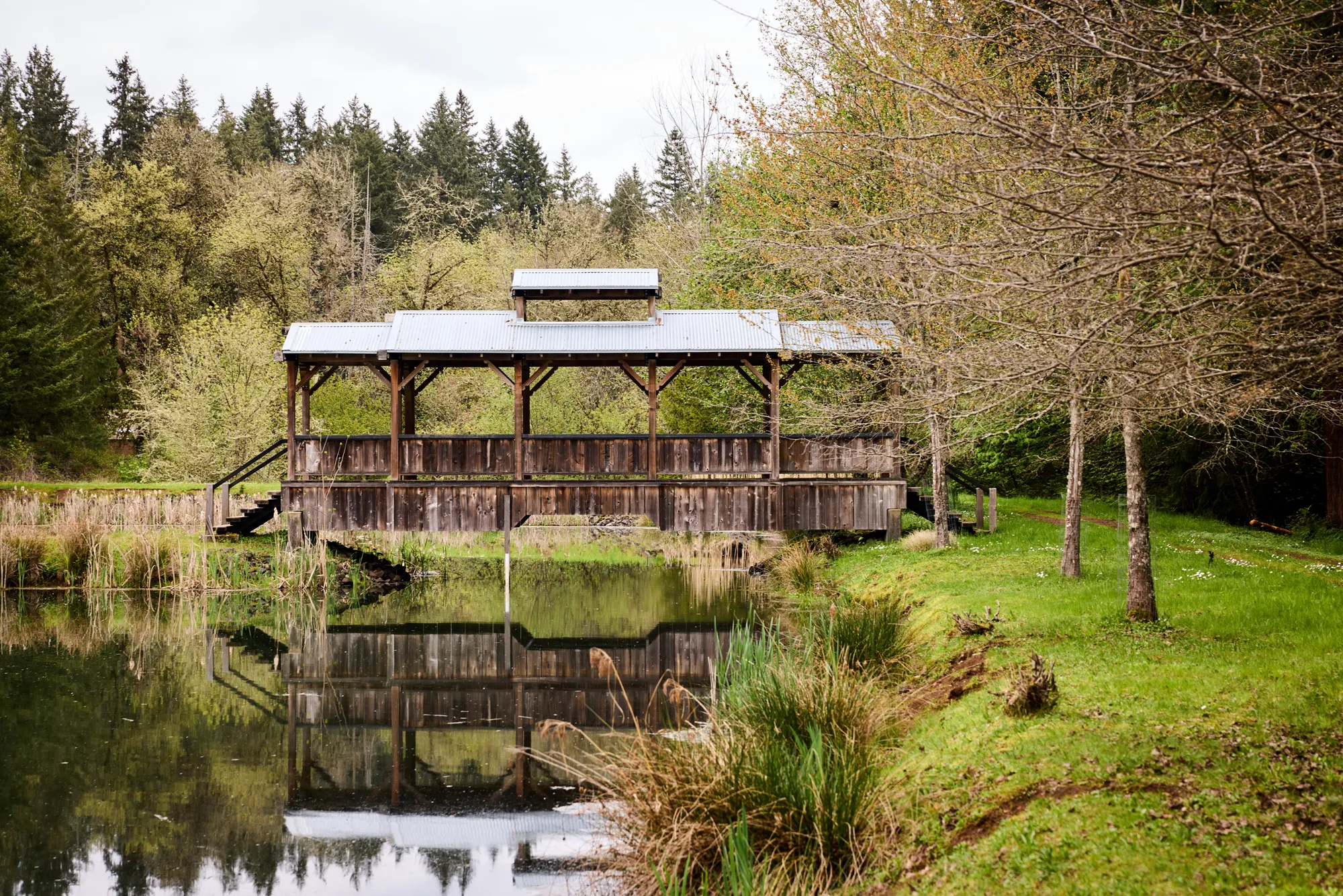Covered bridge over pond