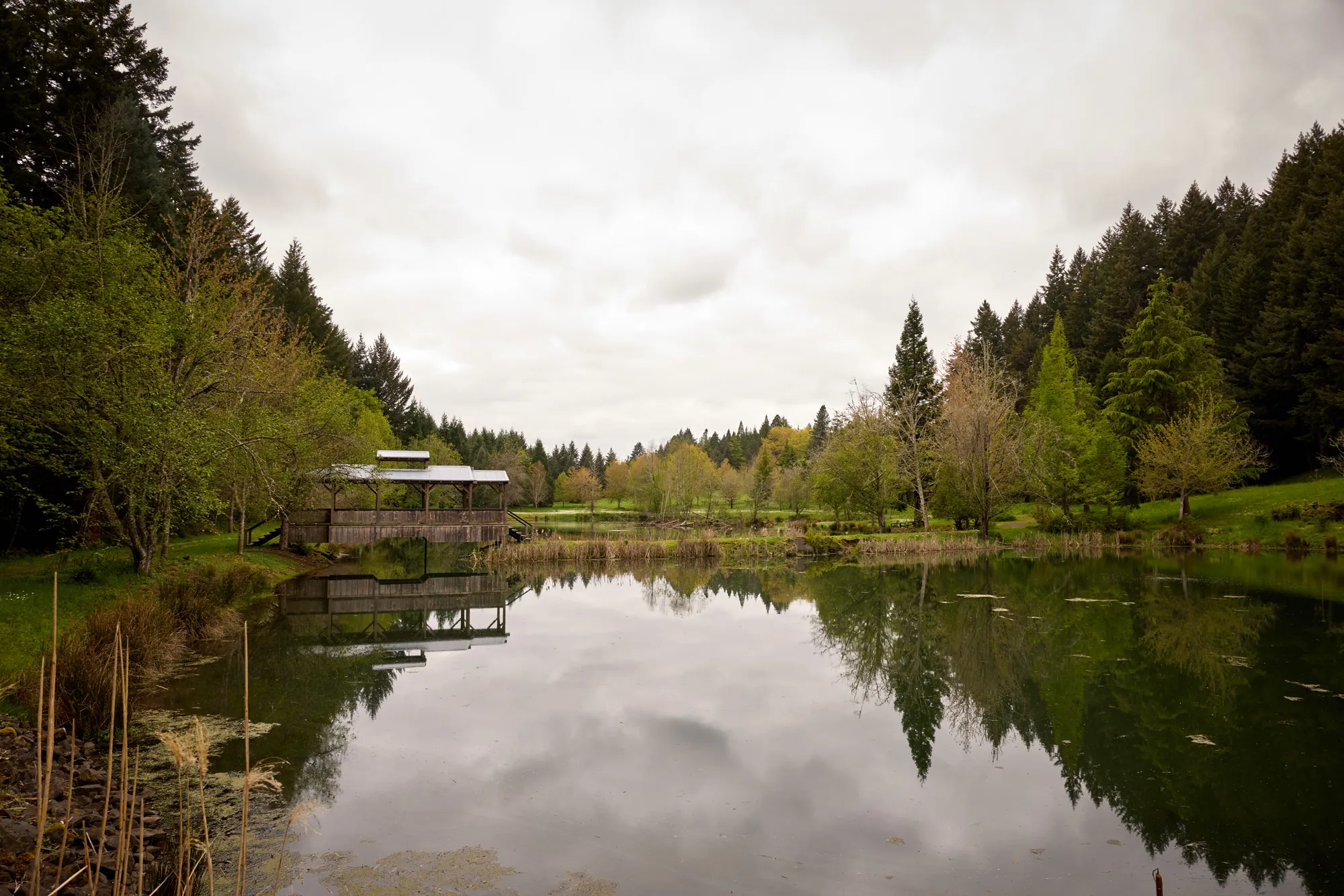 The pond