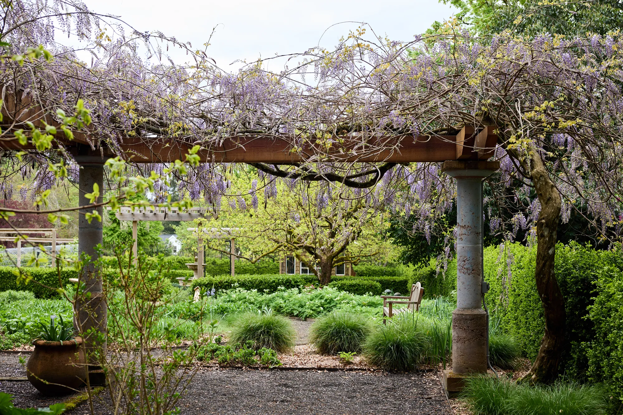 The herb garden