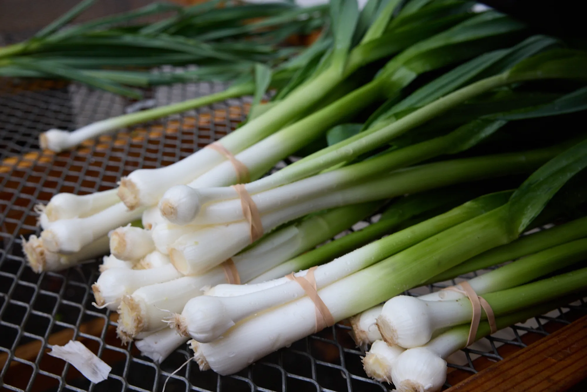 Onions
