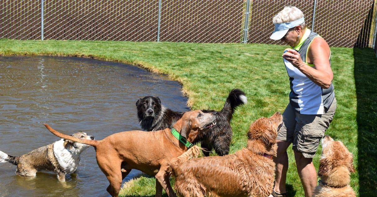 Person playing with dogs by the water at Wag Bend, a dog daycare business powered by Deskworks coworking software.