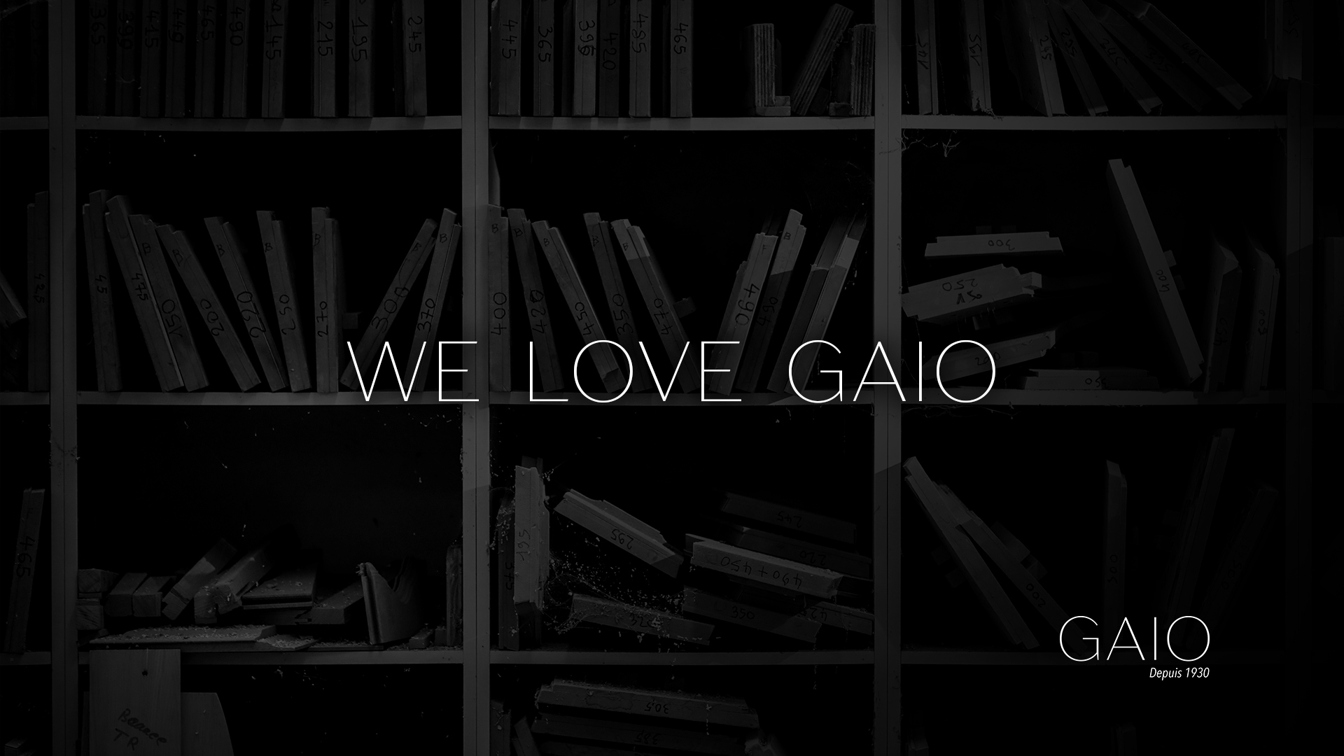 Hyller fylt med ulike merket plankebiter og teksten 'We Love Gaio' over.