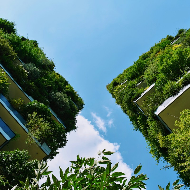 How to Market Green Property Developments and Attract the Modern Green Buyer