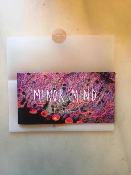 Minor Mind - Architecture & Neural science