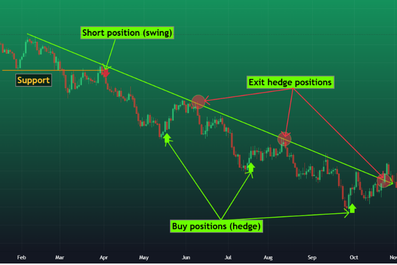 Forex hedging example showing short positions, support levels, and hedge entry exit points