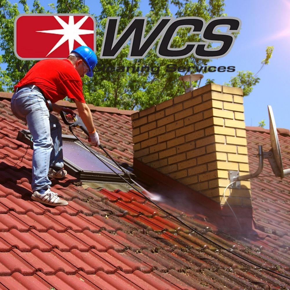 Exterminator Treating Home