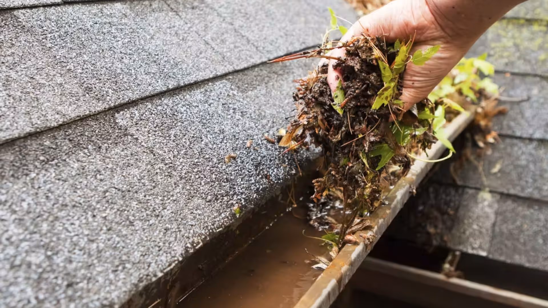 Gutter Cleaning Services