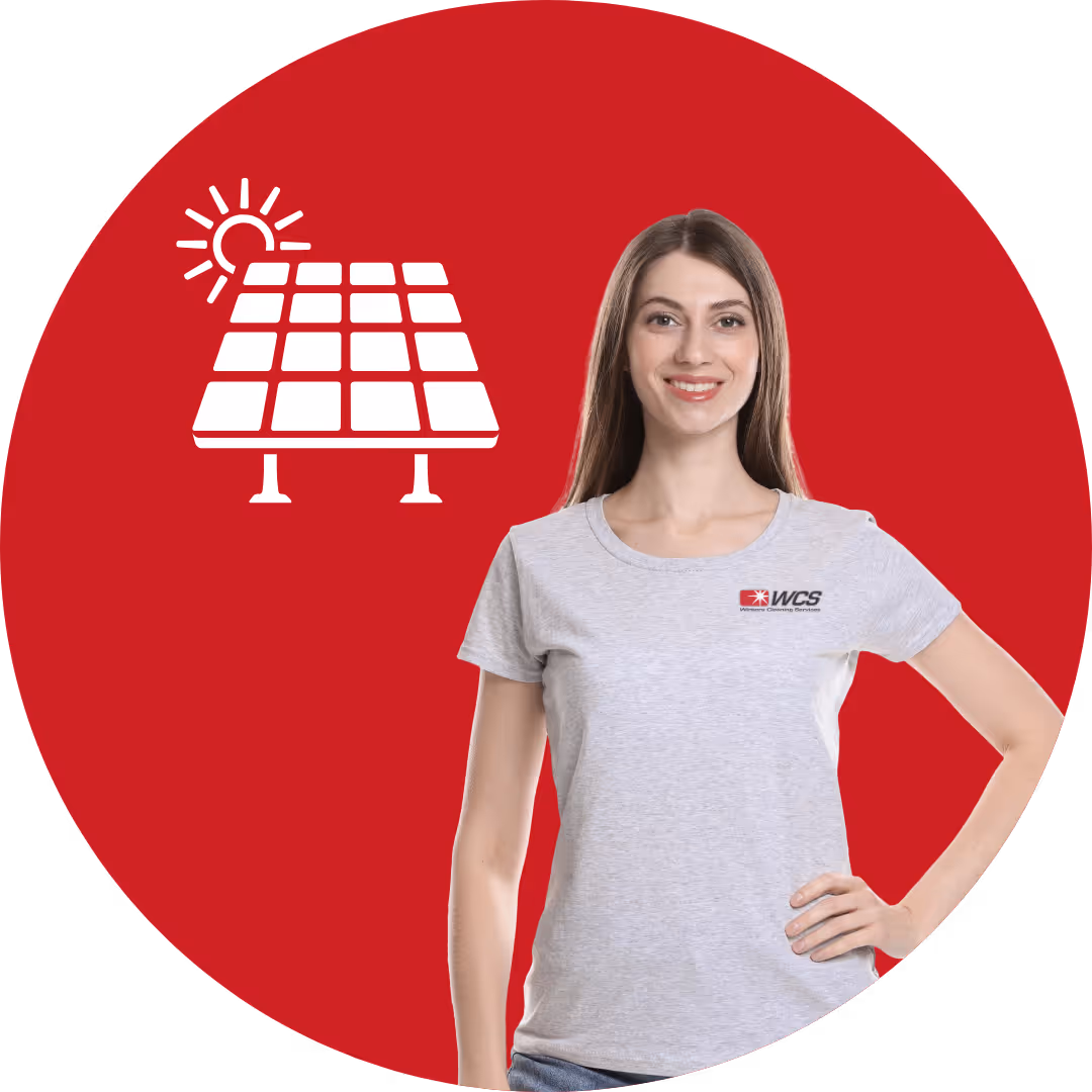Solar Panel Cleaner Company