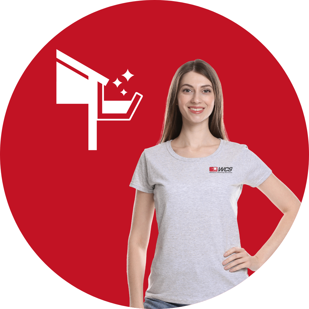 Gutter Cleaning Expert