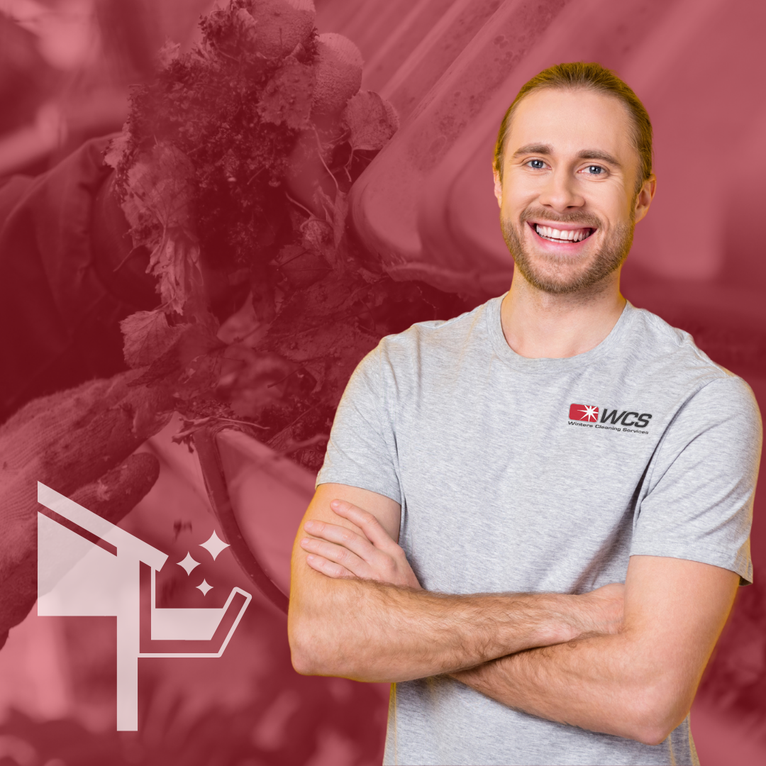 Gutter Cleaning Tech