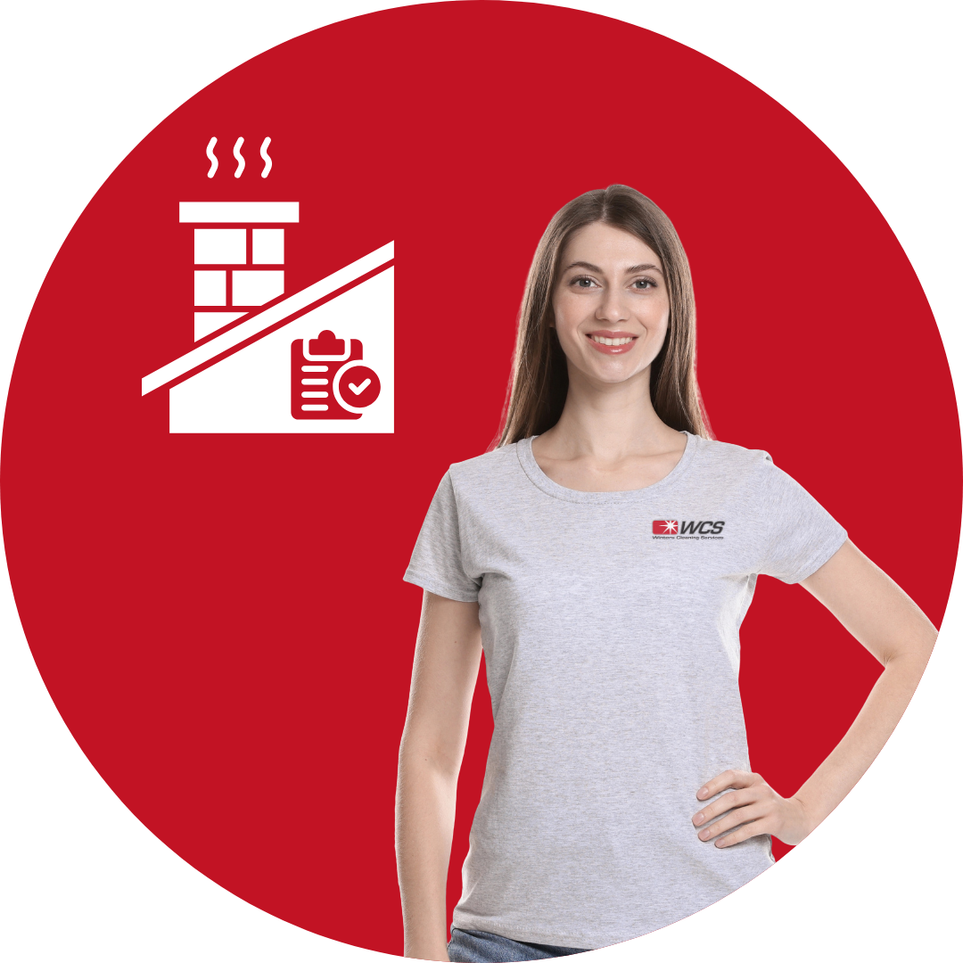 Chimney Inspection Expert