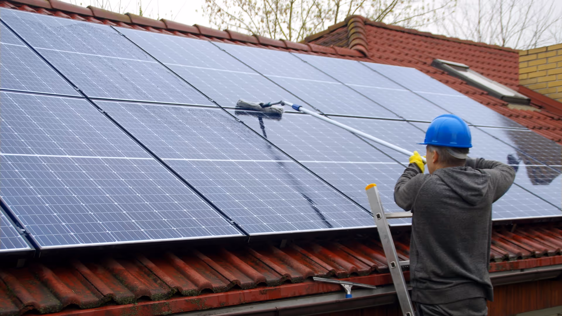 Solar panel Cleaning