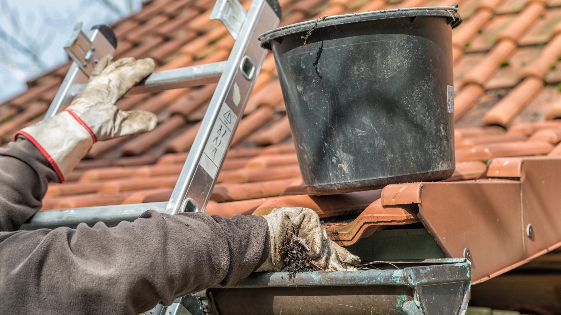 Gutter Cleaning Services