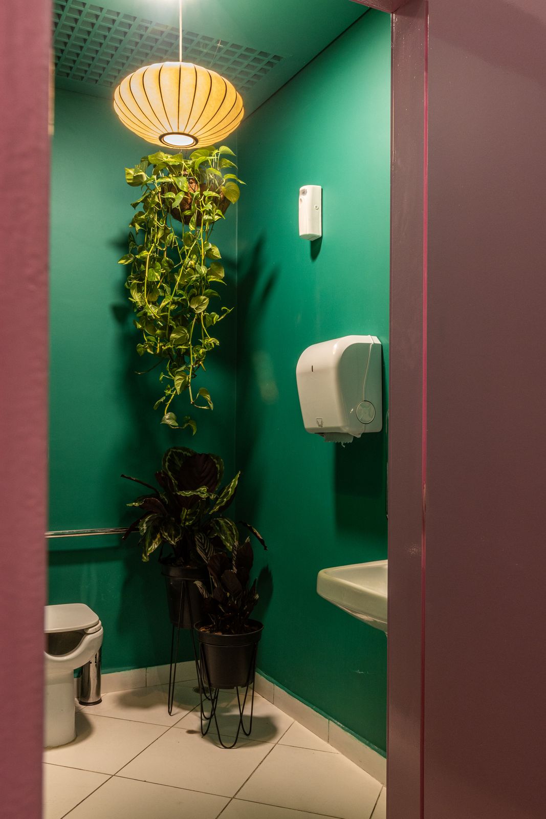 Lavabo com parede verde e plantas pendentes