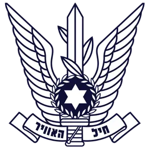 לוגו חיל האוויר
