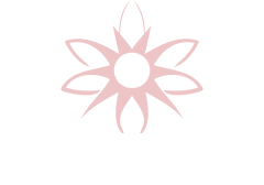 DAF Wellness logo featuring a stylized flower with eight petals above the text.