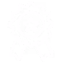 White award ribbon with a star in the center on a transparent background.