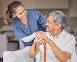 [background image] of a variety of pet products for a pet store