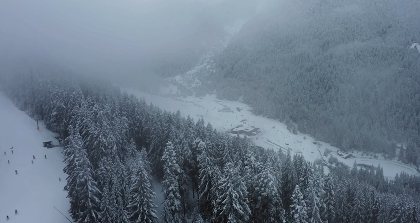 Snow-covered pine trees surrounding a ski slope with skiers and a few buildings in a foggy mountainous area.