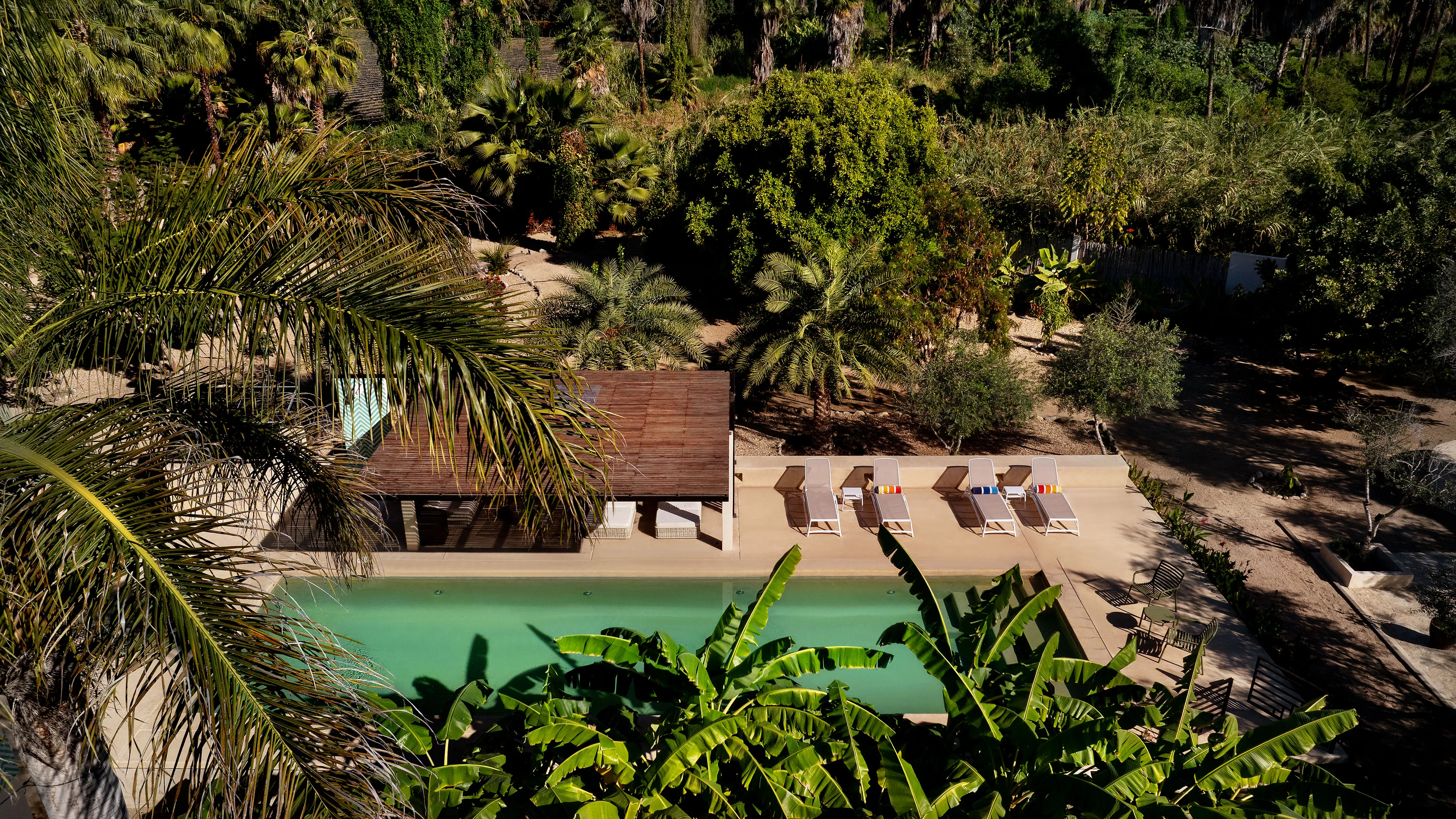 Overhead view of a pool with lounge chairs and lush green tropical plants around it.