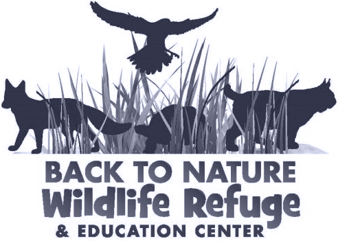 Logo of Back to Nature Wildlife Refuge & Education Center featuring silhouettes of a fox, owl, turtle, deer, and bobcat among tall grass.