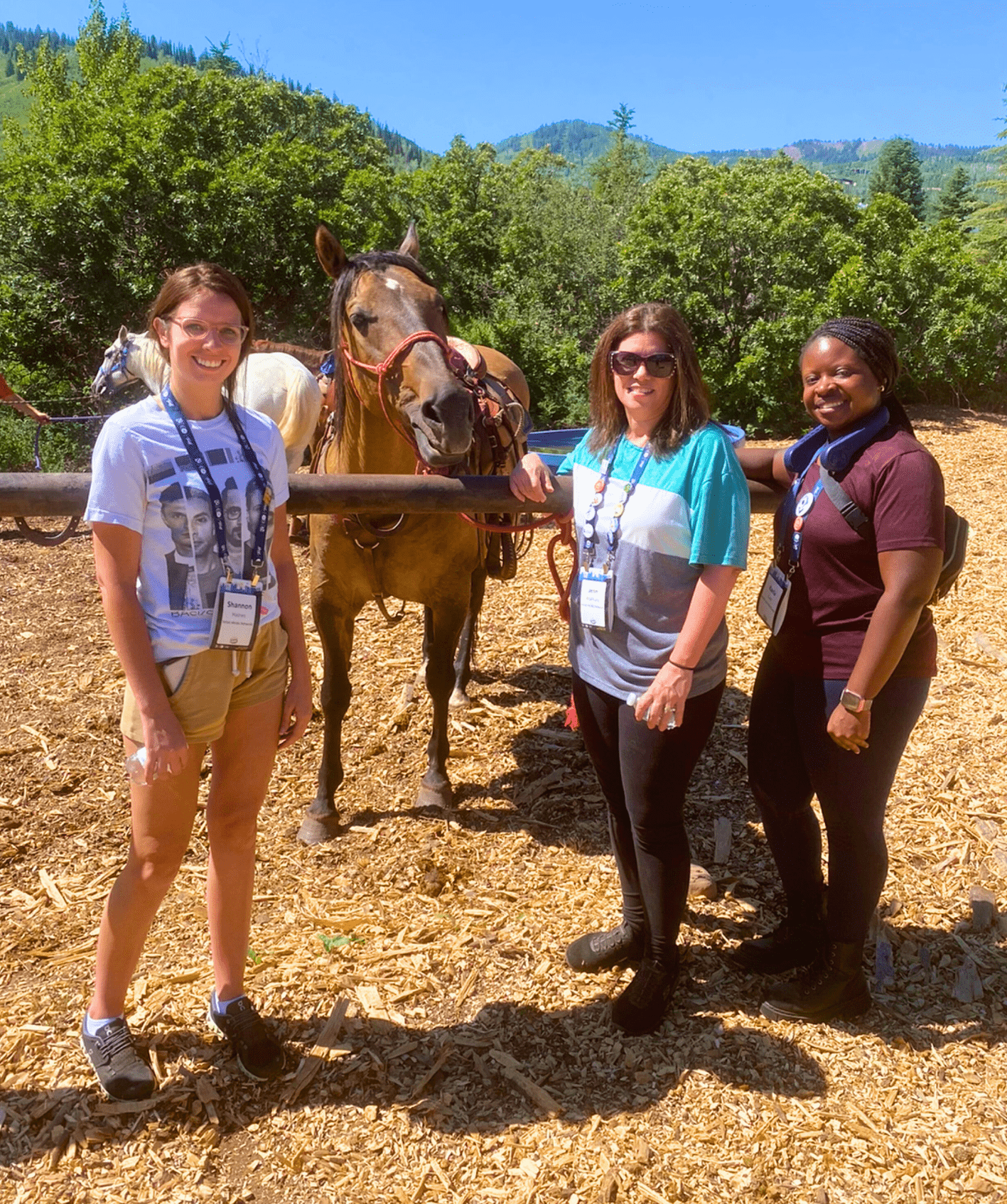 Three women standing outdoors next to a brown horse with mountains and trees in the background on a sunny day.