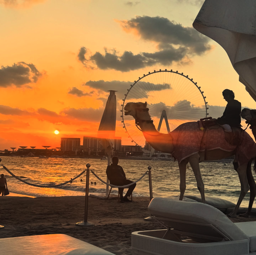 Silhouettes of a person riding a camel and a seated man on a beach at sunset with a large Ferris wheel and buildings in the background.