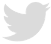 Twitter bird logo in gray on white background.