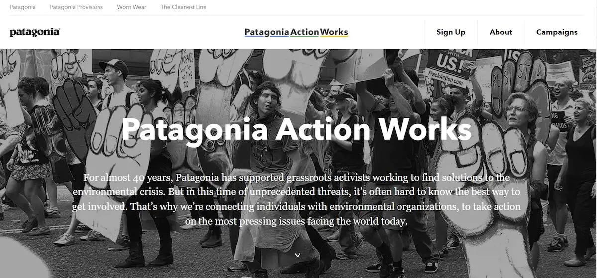 Patagonia Action Works