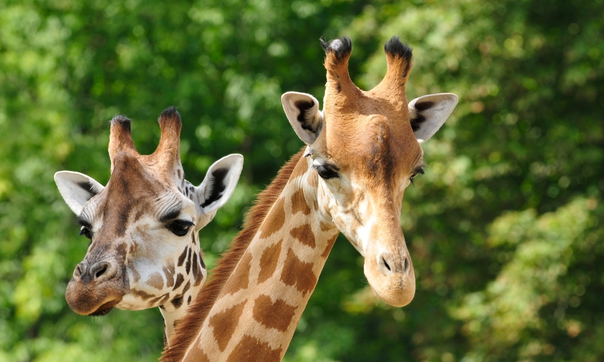 image linking to the post