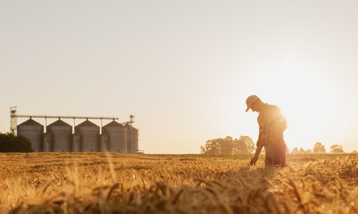 image linking to the post