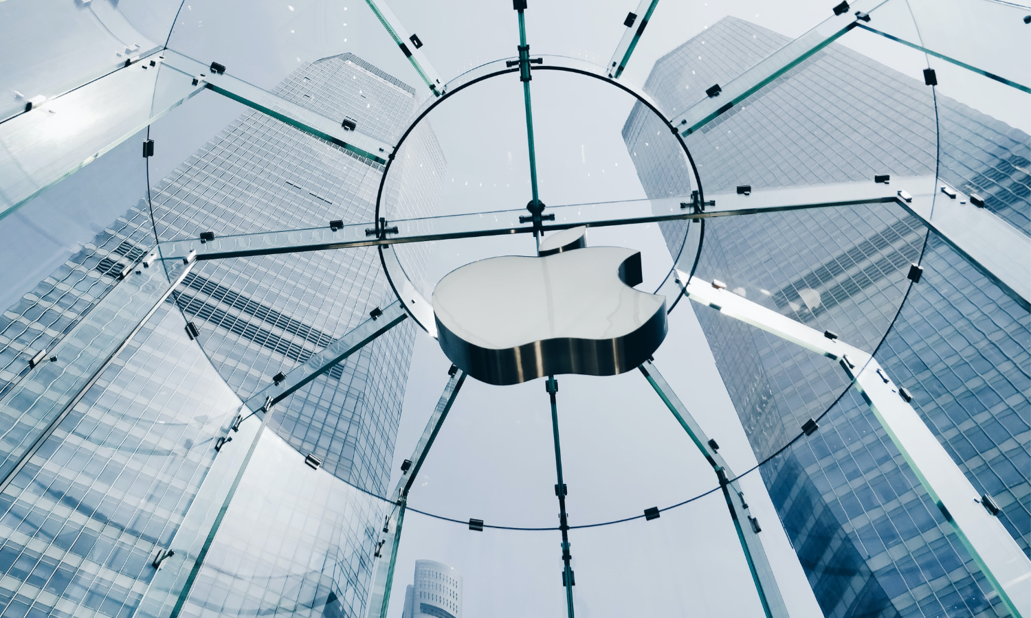 image linking to the post