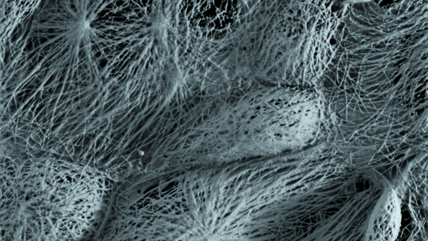 Microscopic close-up of fibers and surface texture with streaked patterns
