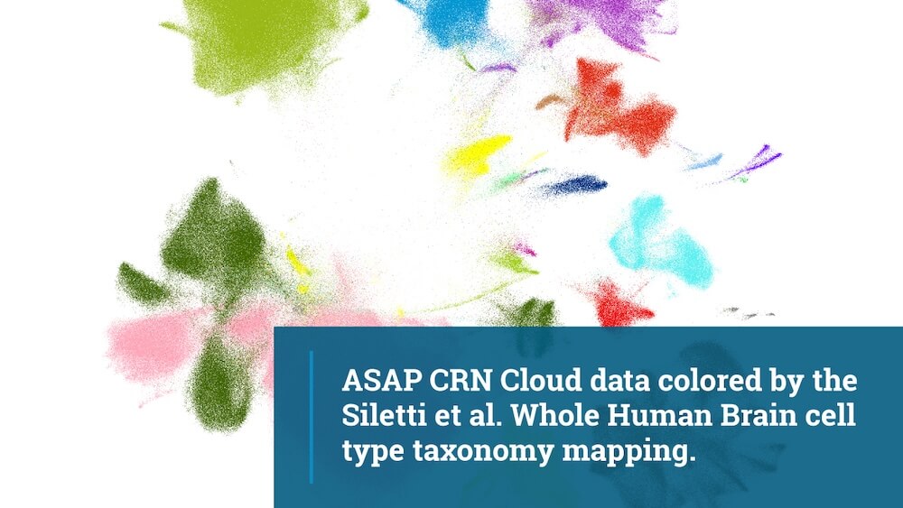 ASAP CRN cloud data visualization colored by Siletti whole human brain cell type taxonomy mapping