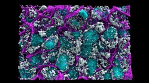 Abstract microscopic cells and bacteria in vibrant purple, teal, and white colors