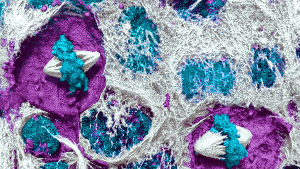 Aerial view of colorful purple, cyan, and white textured terrain with organic formations.