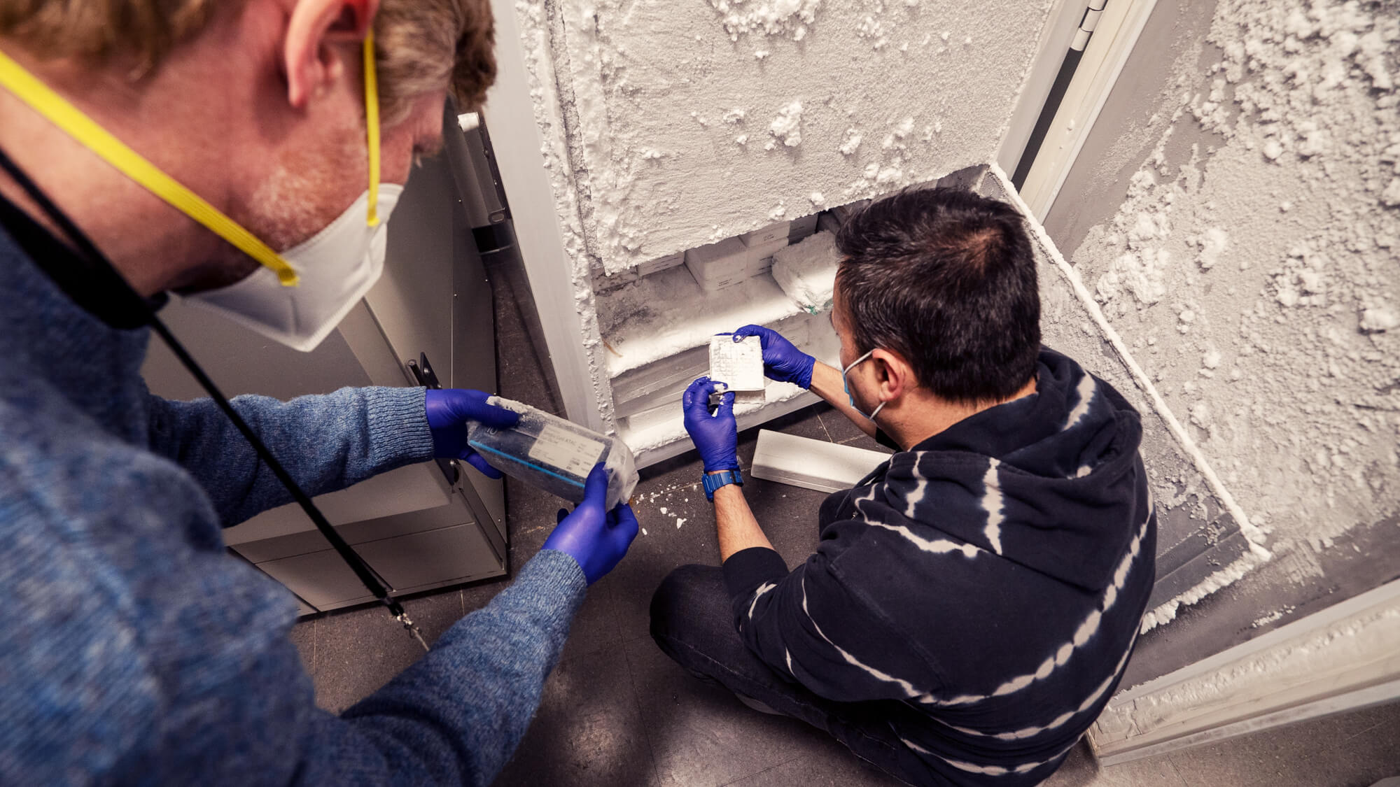 Two workers wearing blue gloves applying joint compound to drywall seams indoors.