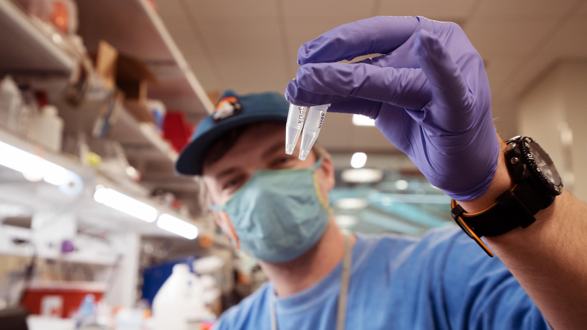 Laboratory technician in purple gloves holding small test tubes in medical lab setting.