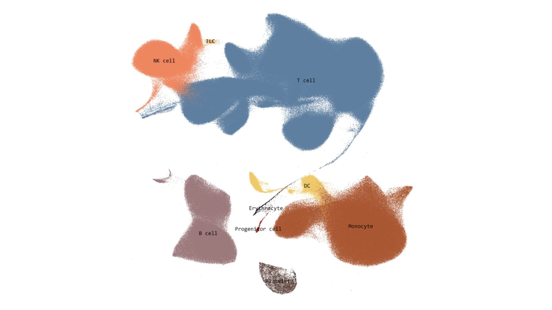 Diagram showing various immune cells: NK cell, T cell, ILC, B cell, dendritic cell, erythrocyte, progenitor cell, and monocyte.