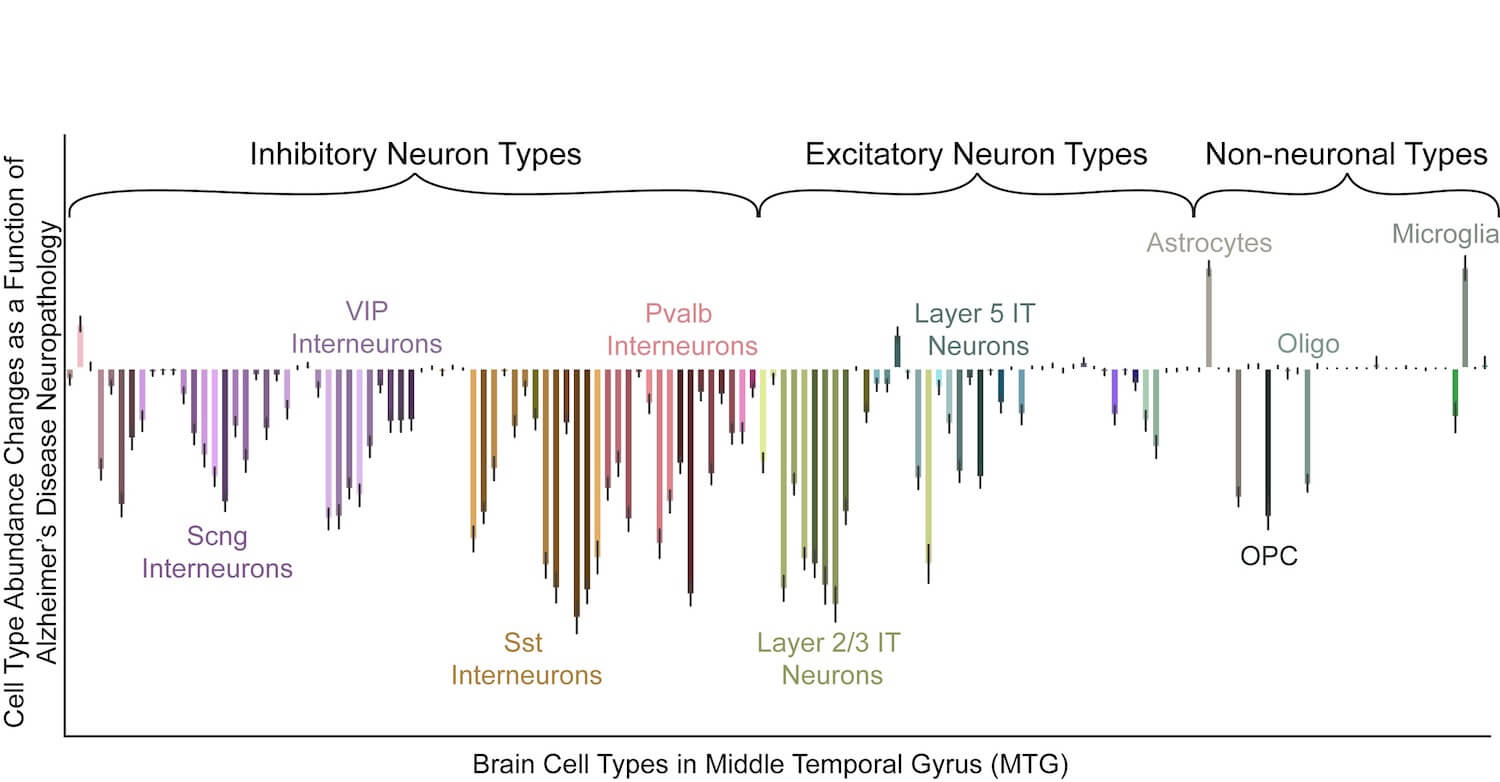 Chart showing cell type abundance changes in Alzheimer's disease across different brain cell types and categories