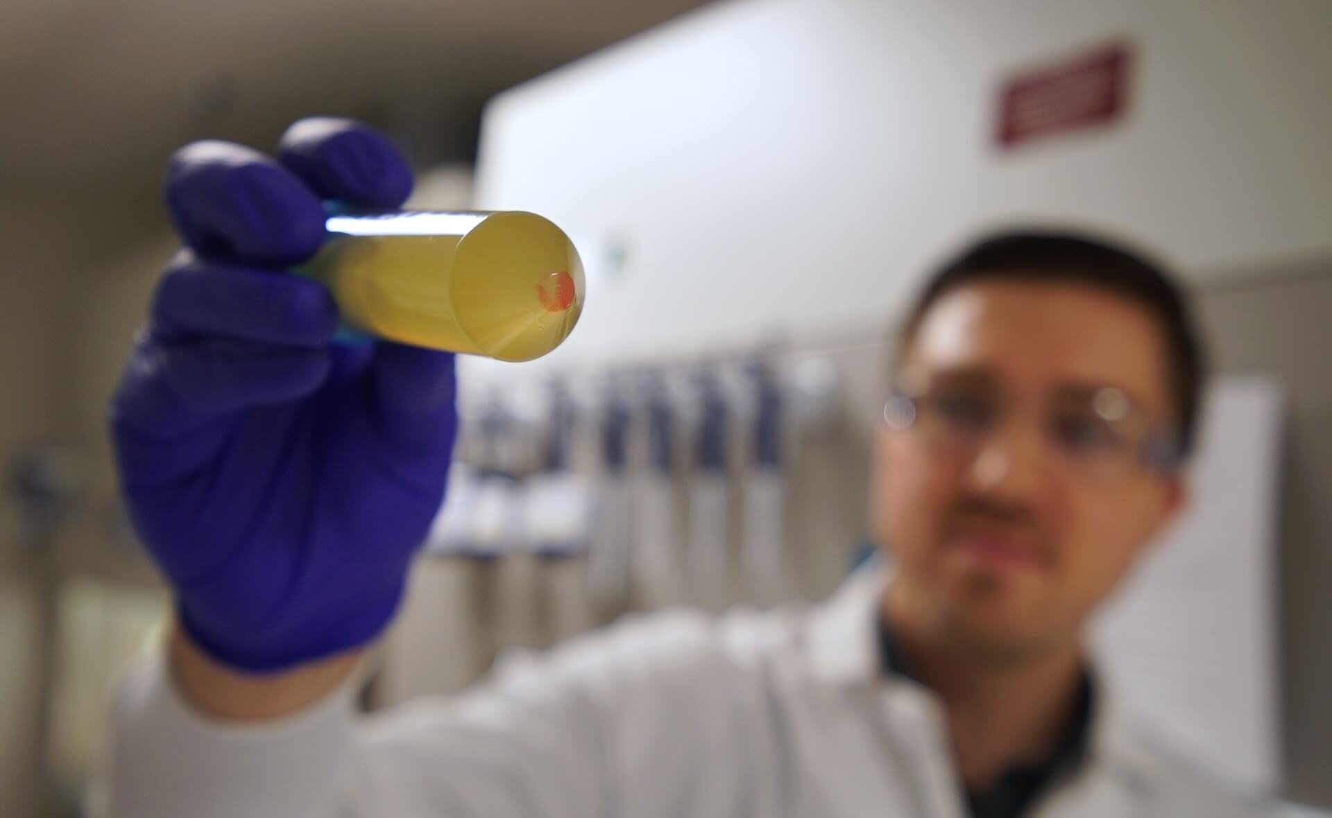 Scientist in blue gloves holding yellow test tube in laboratory setting